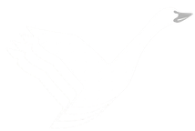 Flying Geese